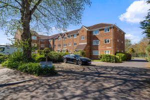 Photo 11- click for photo gallery